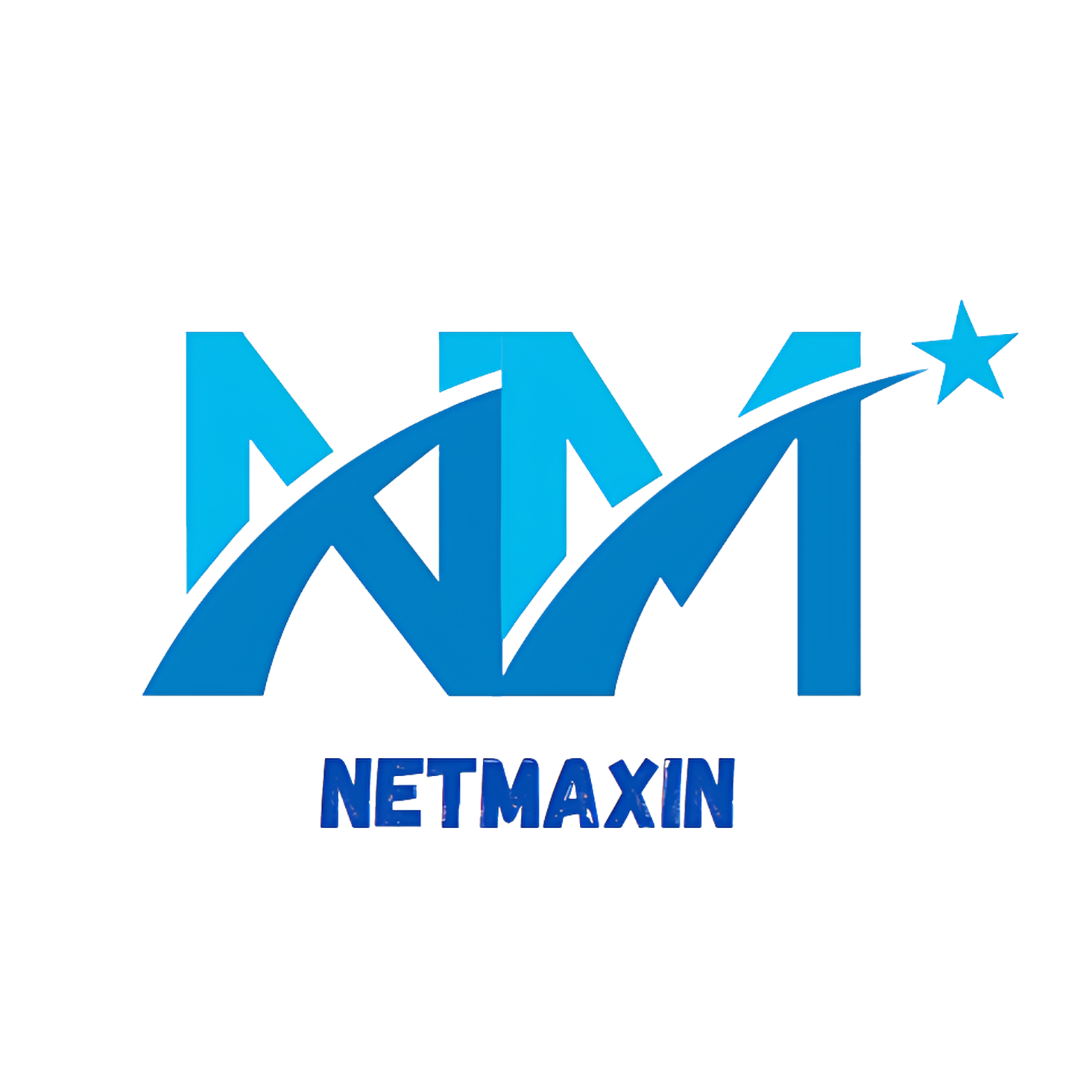 NetMaxin Logo